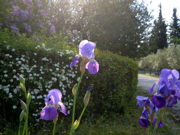 Garden design course in Greece
