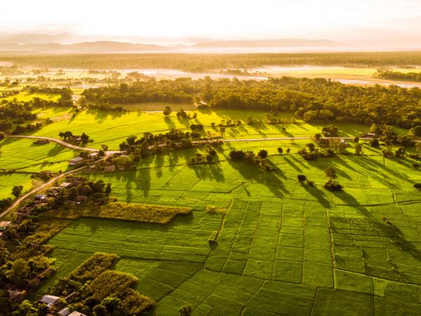 Nepal homestay holiday in Bardiya National Park
