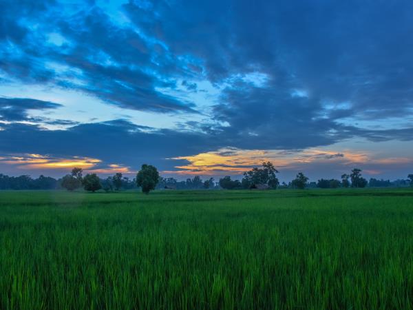 Nepal homestay holiday in Bardiya National Park