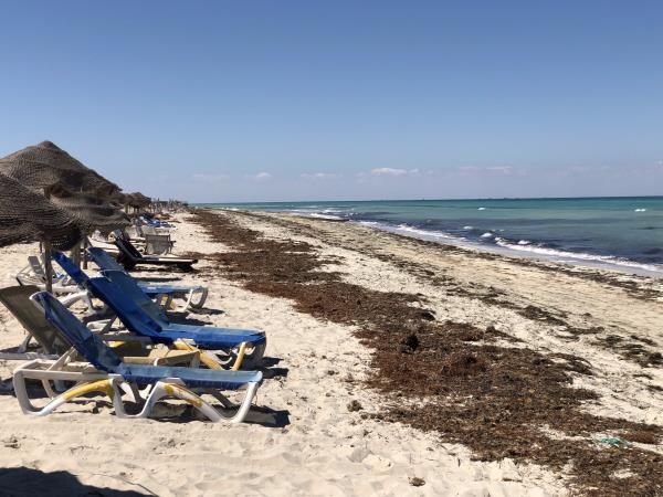Djerba Island holiday in Tunisia