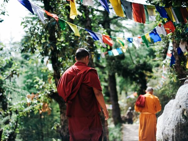 Nepal Mustang trek and culture holiday
