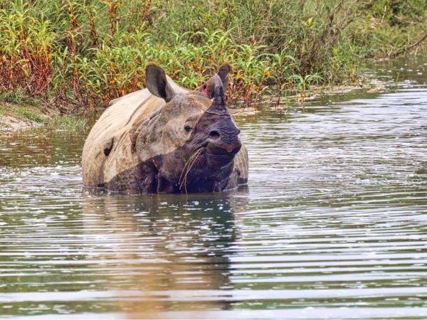 Nepal homestay holiday in Bardiya National Park