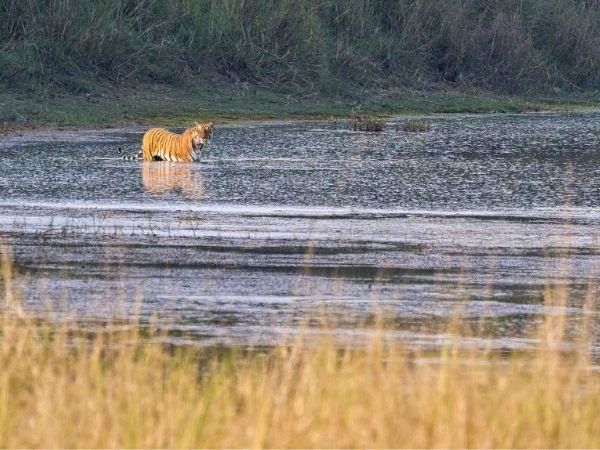 Nepal homestay holiday in Bardiya National Park