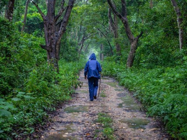 Nepal homestay holiday in Bardiya National Park