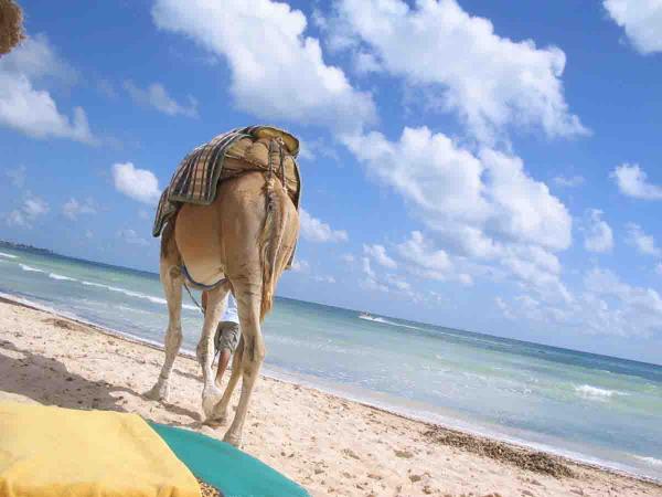 Djerba Island short break in Tunisia