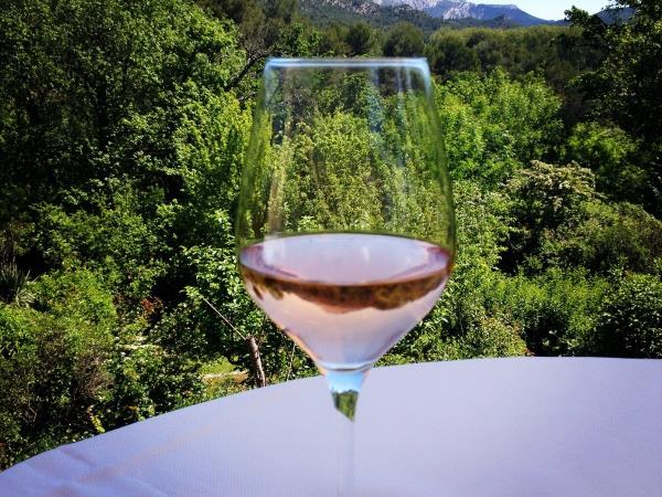 Provence wine tour