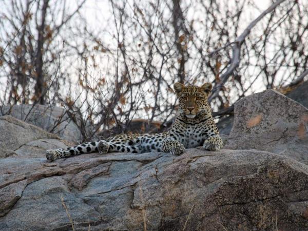 Tanzania migration safari, beyond the Serengeti
