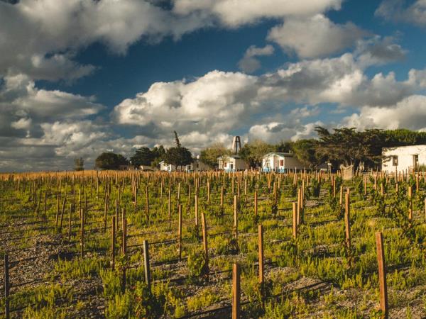 Southern Patagonia cultural tour