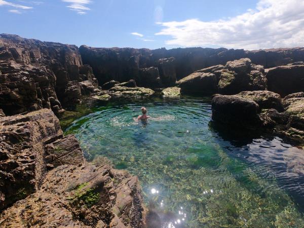 Patagonia wildlife holiday