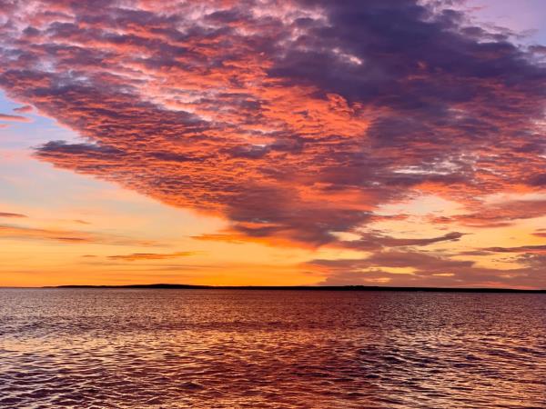 Patagonia wildlife holiday