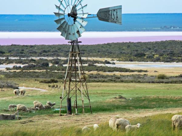 Patagonia wildlife holiday