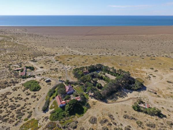 Patagonia wildlife holiday