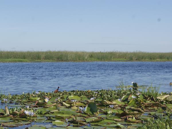 Ibera Wetlands and Iguazu Falls holiday