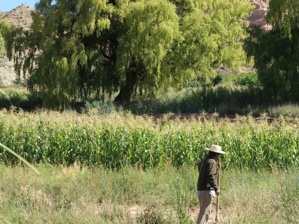 Salta and Jujuy holiday in Argentina