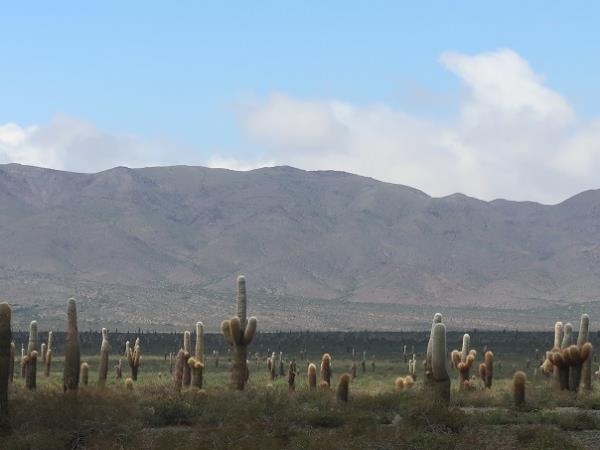 Salta and Jujuy holiday in Argentina