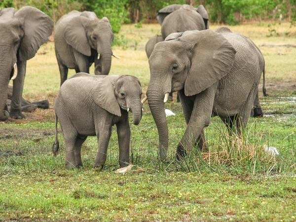 Rwanda safari holiday