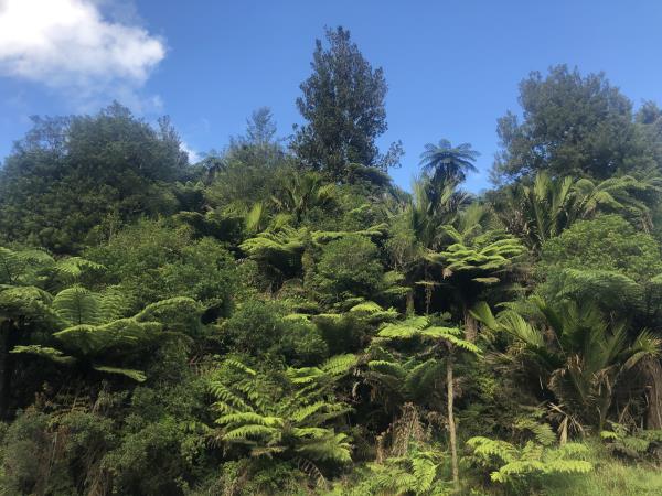 New Zealand cycling holiday, Cape to Cape