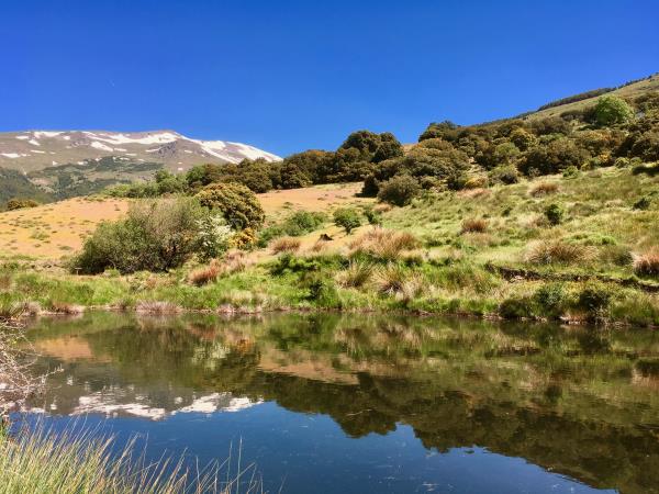 Mountain yoga retreat in Andalucia, Spain