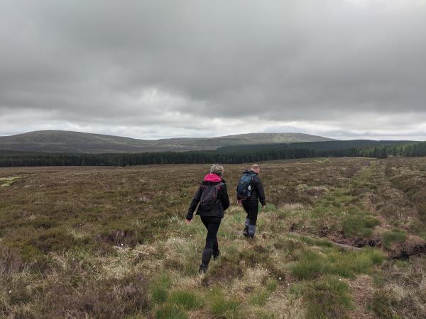 Northern Ireland hiking holiday, mountains and hills