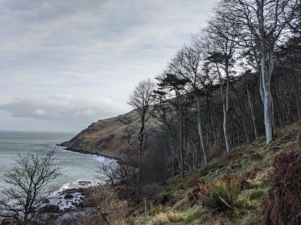 Northern Ireland holiday, tailor made