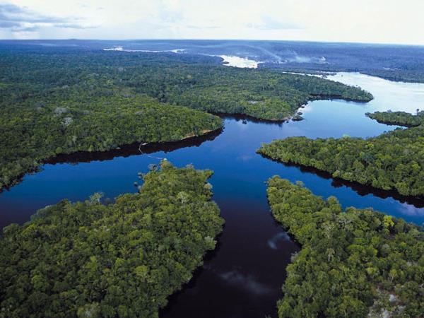 Brazil small group tour, wildlife and culture