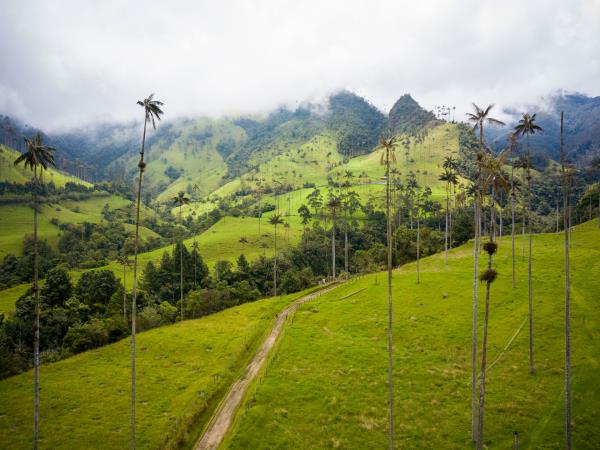 Colombia small group holiday