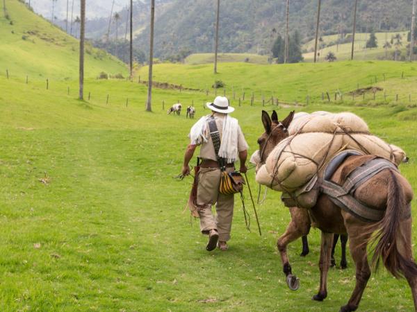 Colombia small group holiday