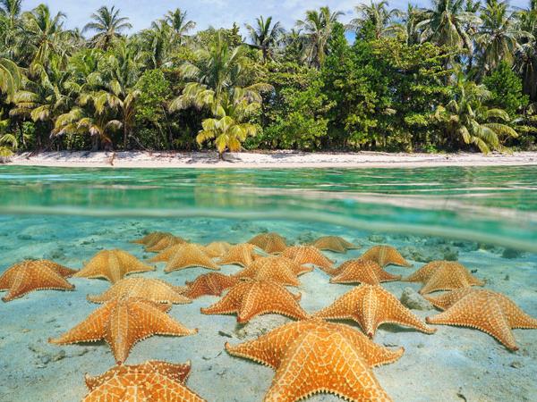 Panama holiday, cloudforests to the Caribbean