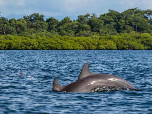 Panama holiday, cloudforests to the Caribbean