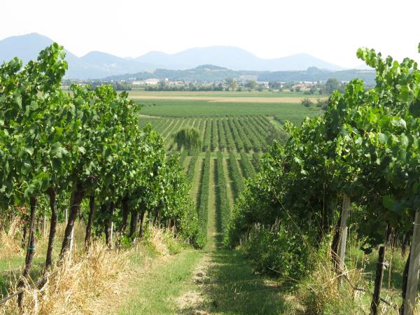 Lake Garda to Venice cycling holiday, Italy