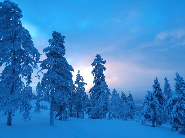 A week in Lapland holiday
