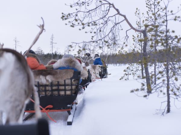 A week in Lapland holiday