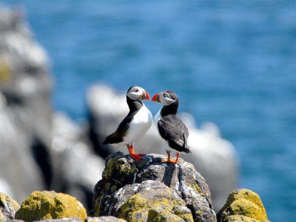 Walking Scotland’s Orkney Islands holiday