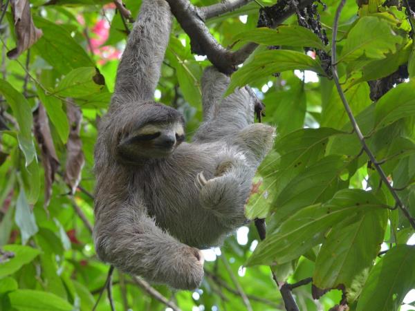 Costa Rica family adventure