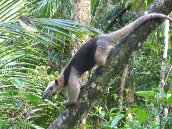 Costa Rica family adventure