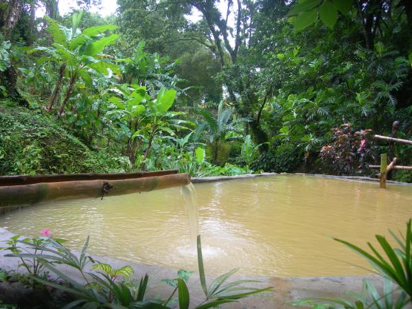 Dominica nature and culture holiday
