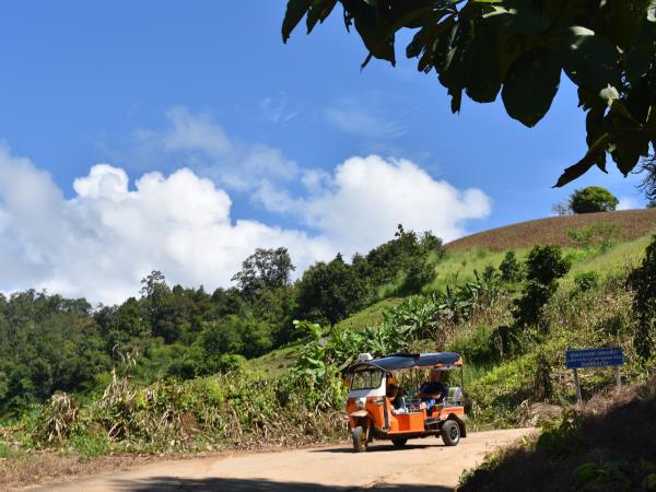 Chiang Mai Tuk Tuk holiday, 5 days