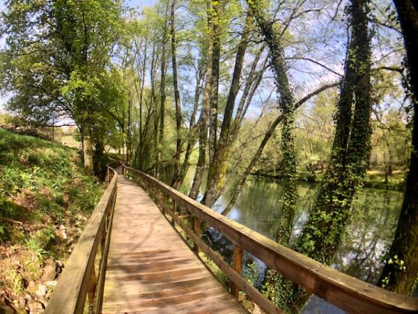 Portugal tree house accommodation, Northern Portugal