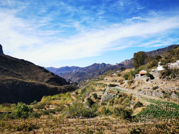 Tenerife and La Gomera walking holiday
