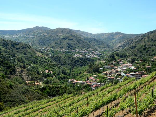 Hiking in the Troodos mountains, Cyprus