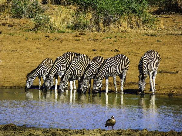 Ghana & South Africa cultural tour