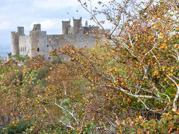 Snowdonia photography holiday
