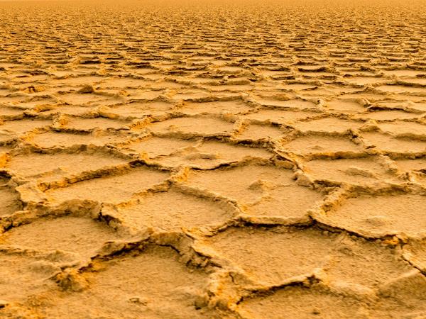 Danakil Depression tour in Ethiopia