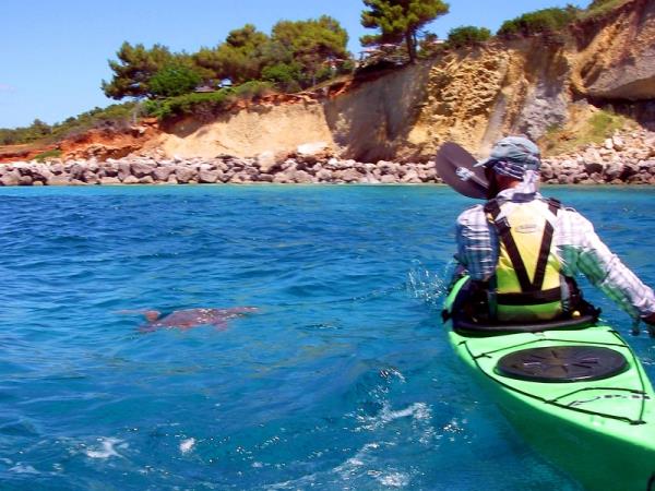 Kefalonia sea turtle holiday in Greece