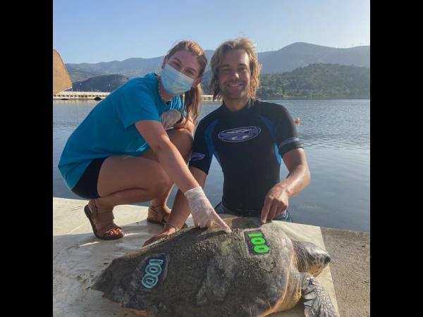 Kefalonia sea turtle holiday in Greece