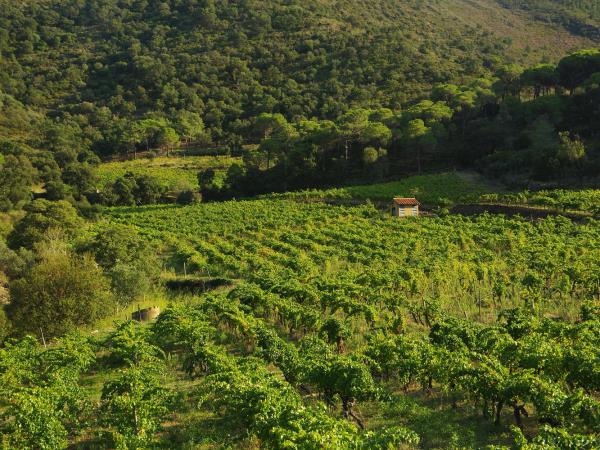 Spain self drive holiday, Pyrenees