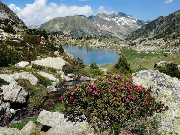 Spain self drive holiday, Pyrenees