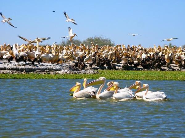 Senegal holiday, best of Senegal