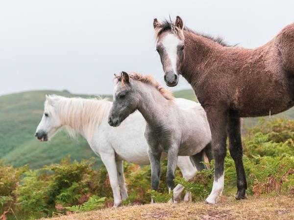 Photography tour in England