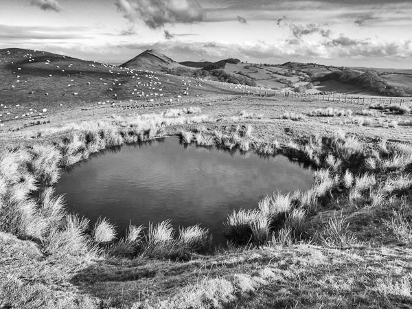 Photography tour in England